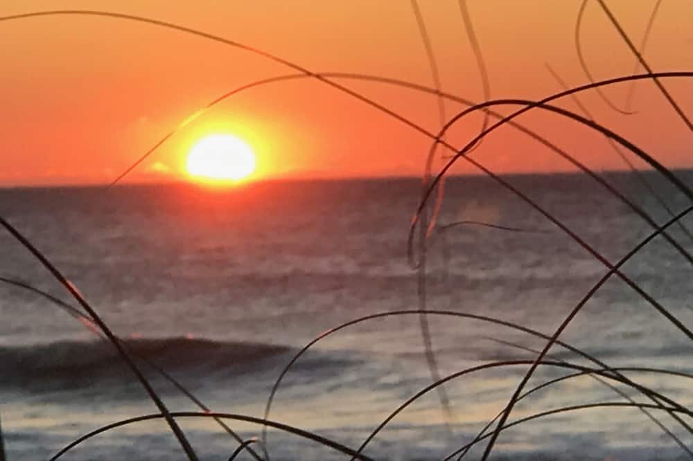 Photo of Others in Folly Beach
