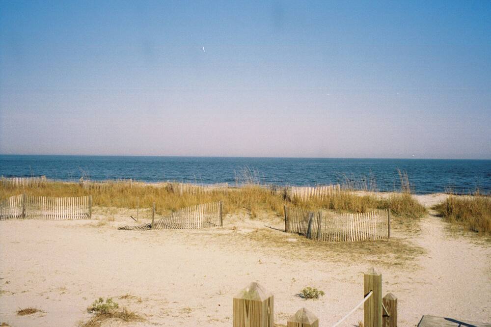 Photo of Others in Daufuskie Island