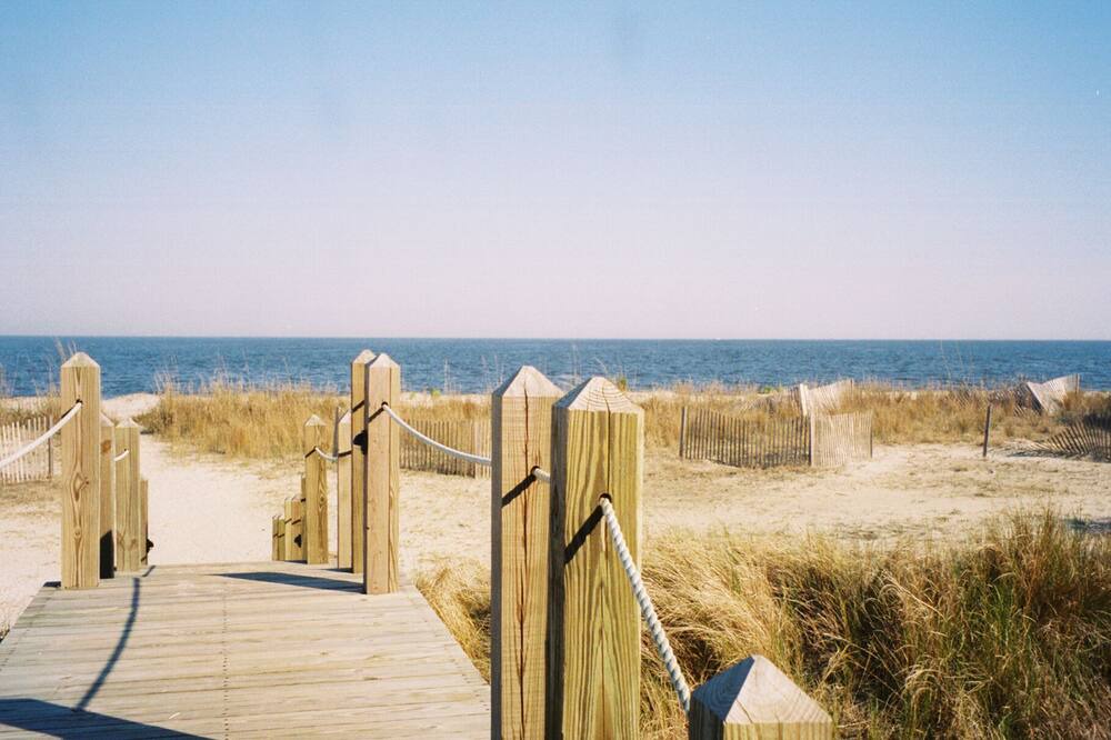 Photo of Others in Daufuskie Island