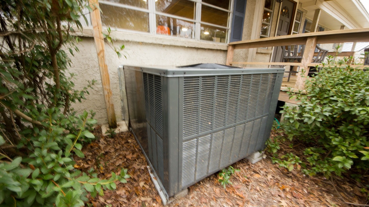 Photo of Outdoor in Santee