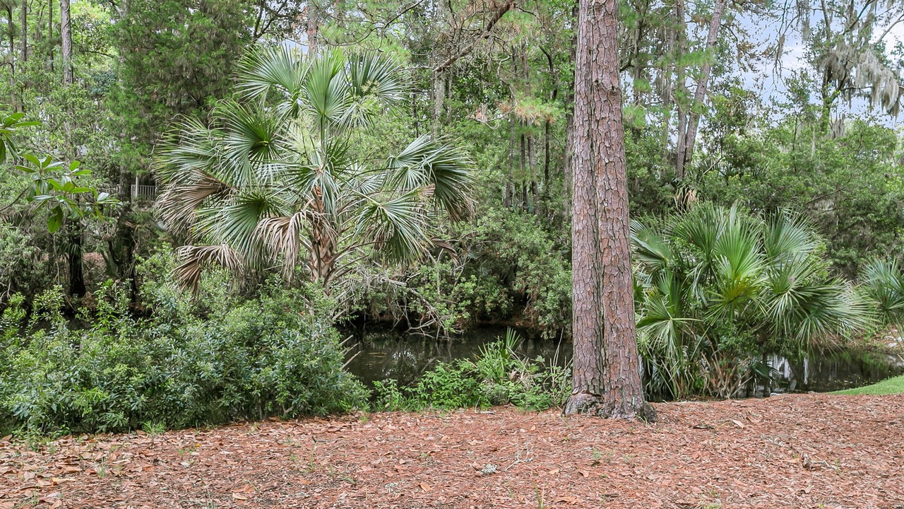 Photo of Others in Seabrook Island