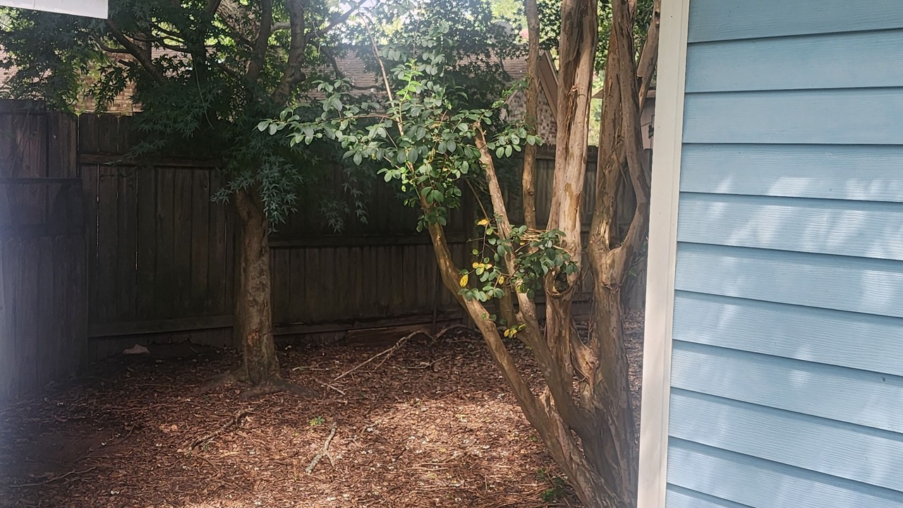 Photo of Outdoor in Ladson