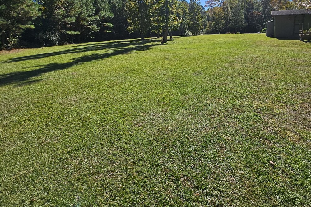 Photo of Others in Conway