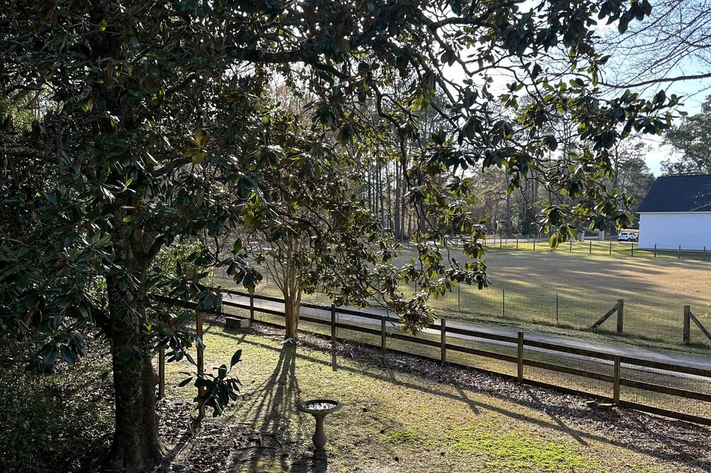 Photo of Outdoor in Summerville
