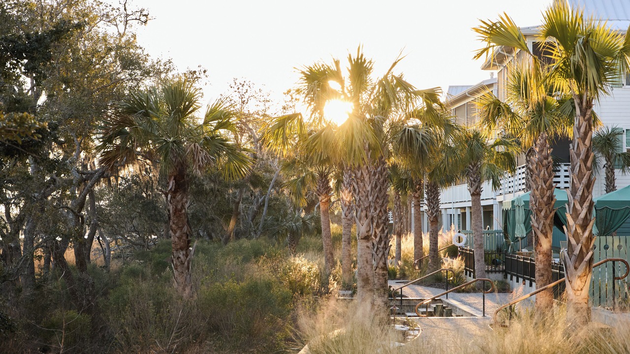 Photo of Outdoor in Johns Island