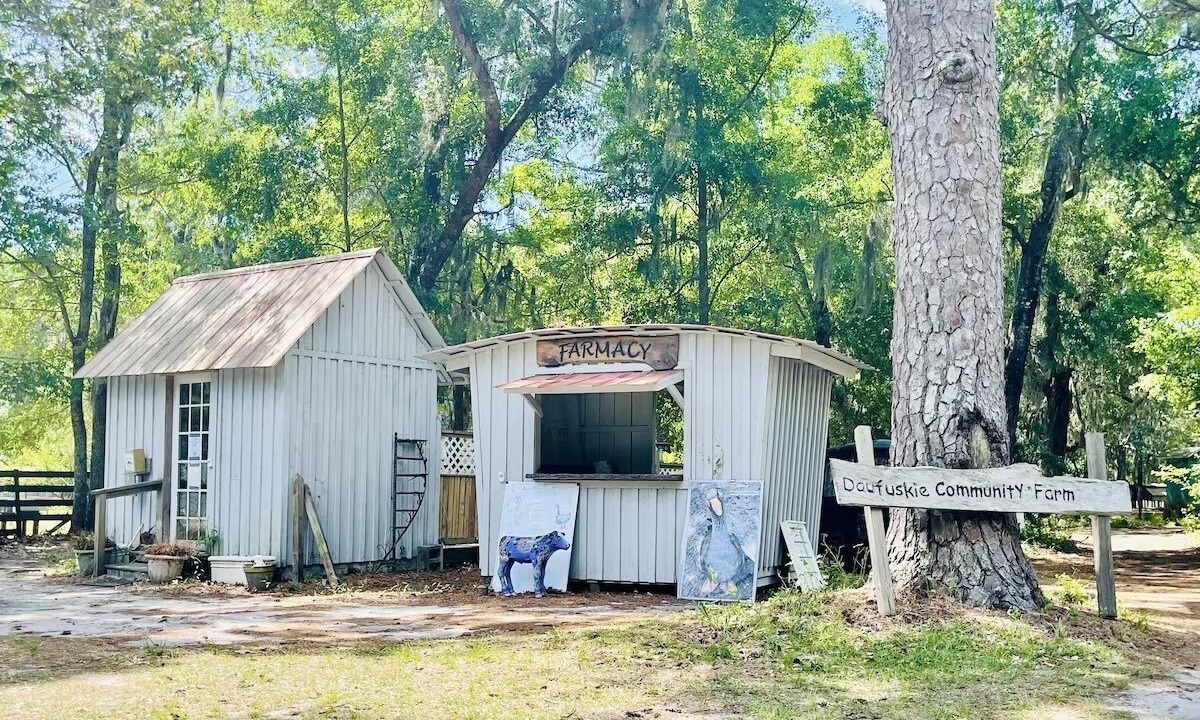 Photo of Outdoor in Melrose on the Beach