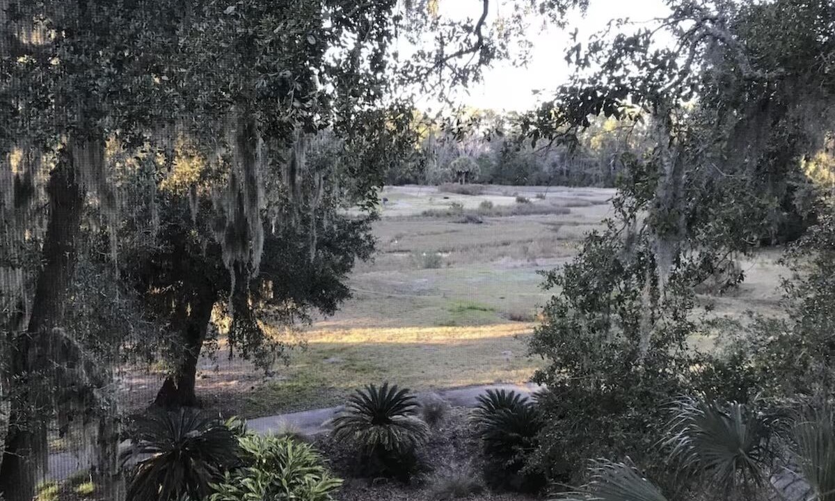 Photo of Outdoor in Melrose on the Beach