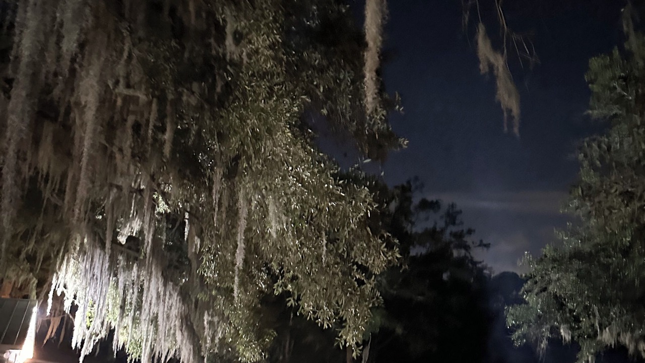 Photo of Outdoor in Johns Island