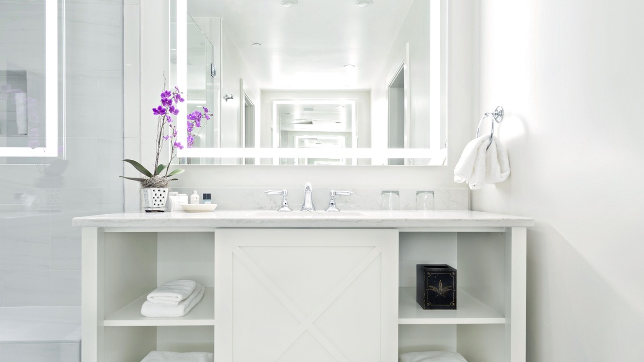 Photo of Bathroom in Charleston Historic District