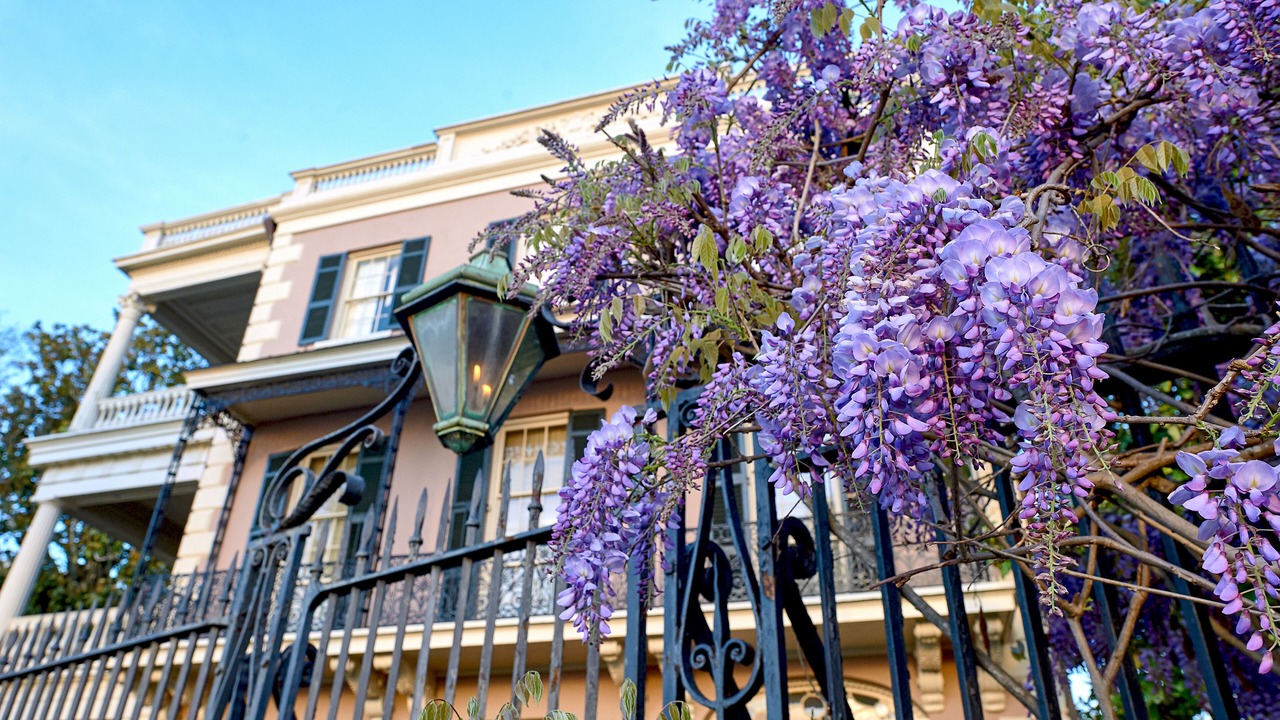 Photo of Others in Charleston Historic District