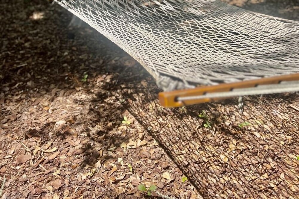 Photo of Outdoor in Palmetto Bluff