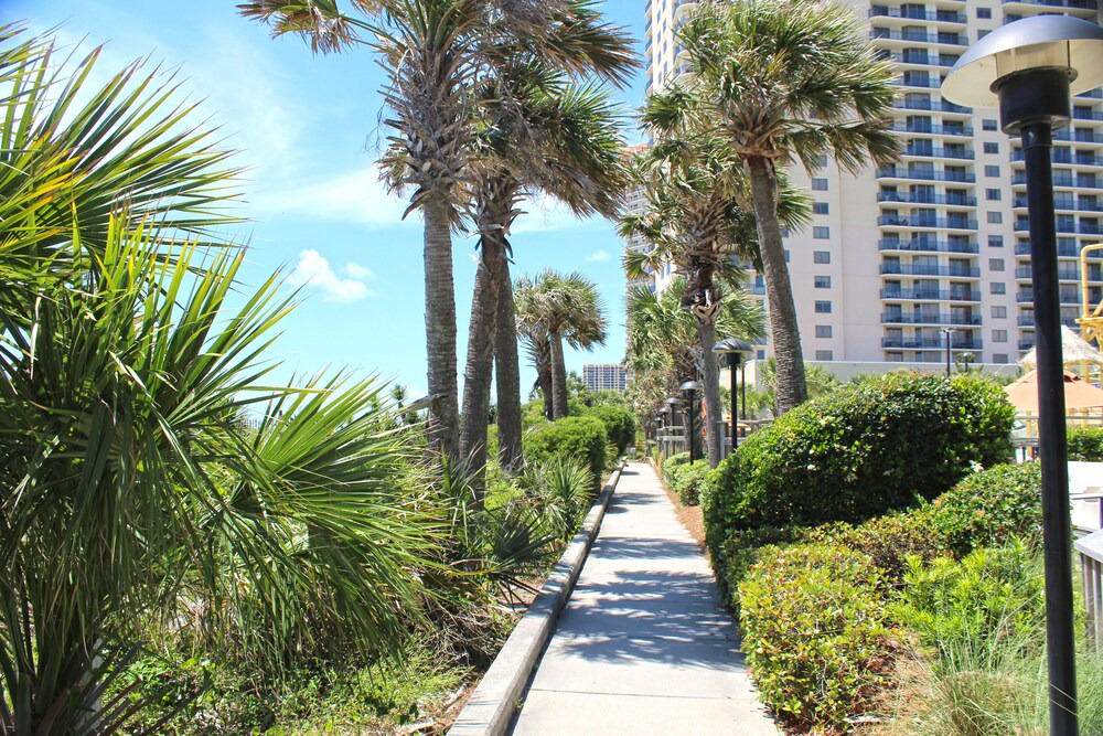 Photo of Outdoor in Arcadian Shores