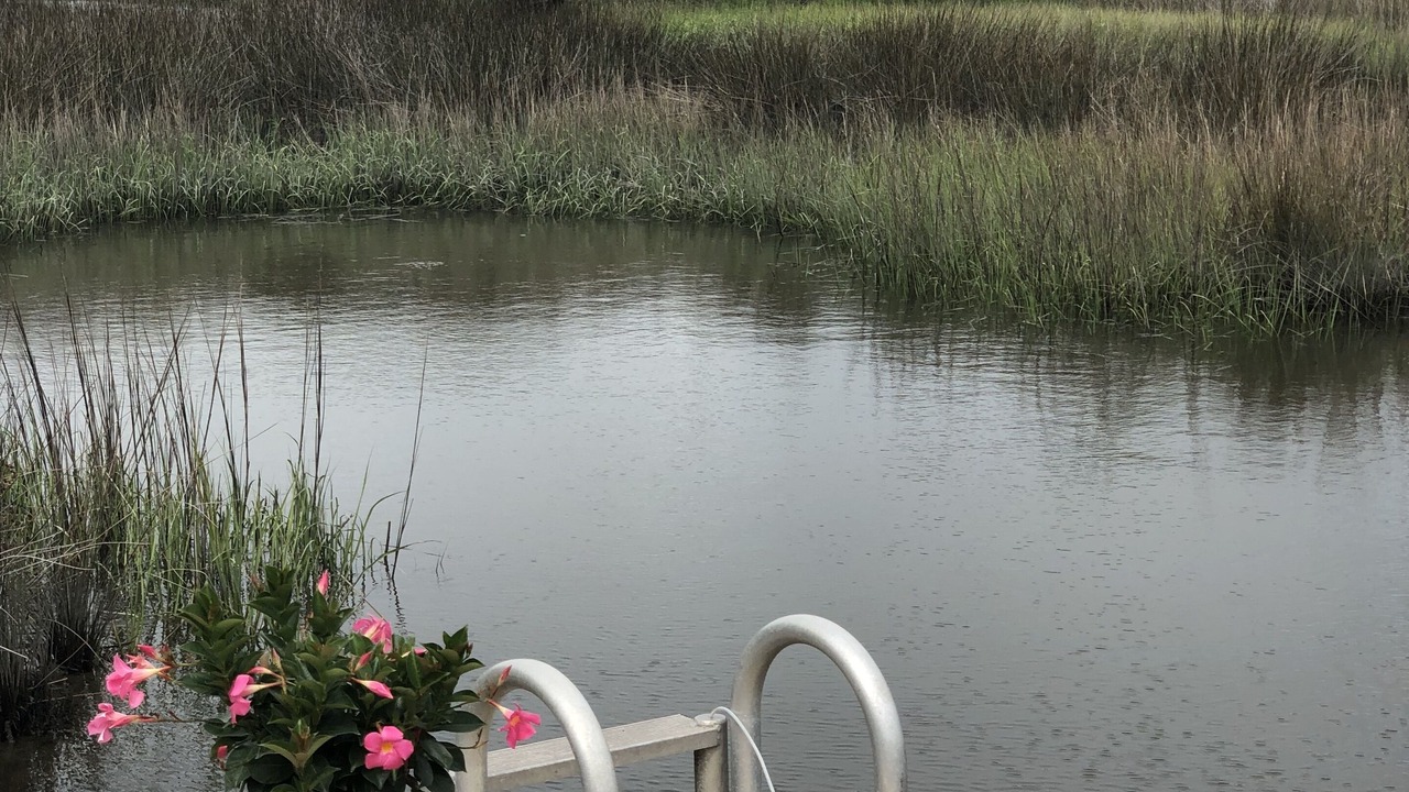 Photo of Others in Johns Island