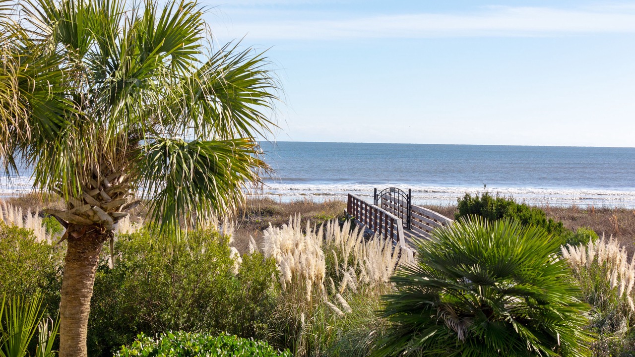Photo of Others in Isle of Palms
