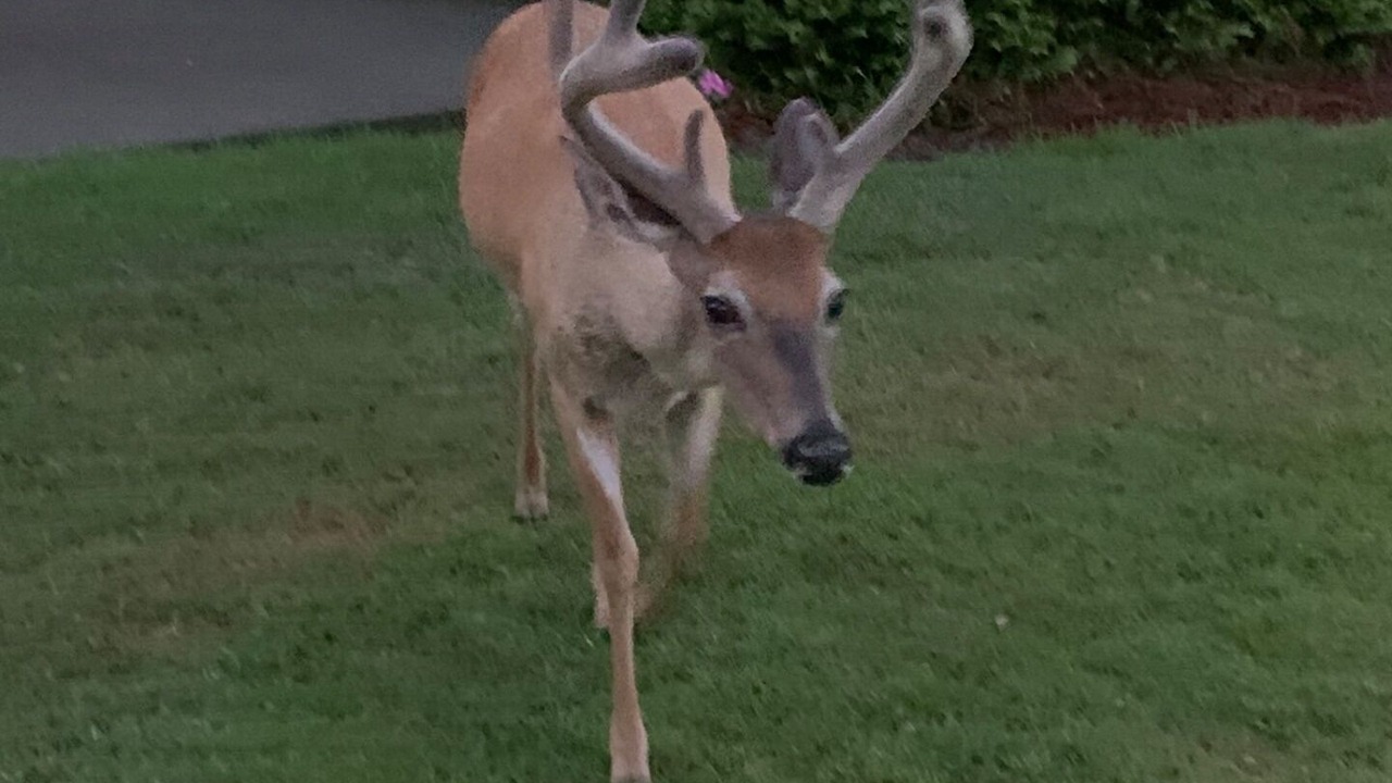 Photo of Outdoor in Saint Helena Island