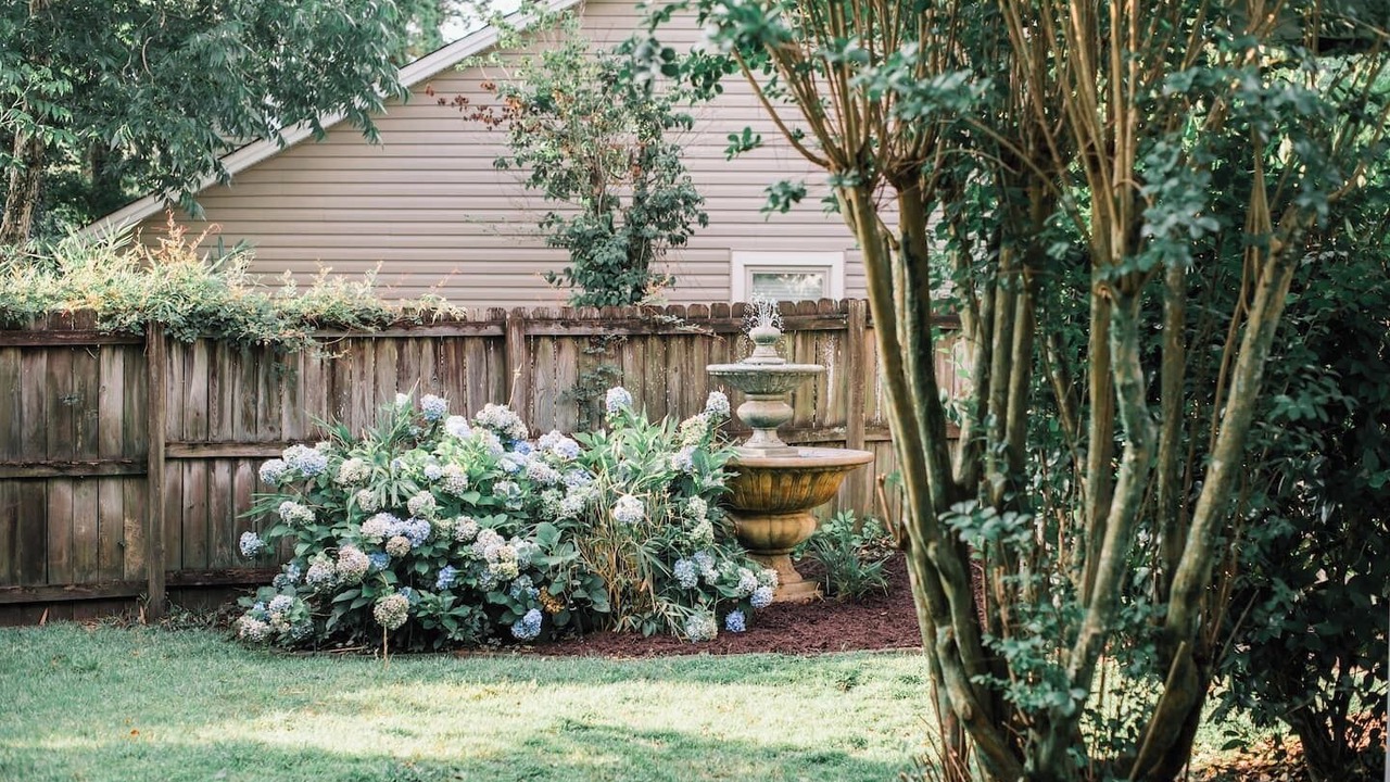 Photo of Outdoor in Mount Pleasant