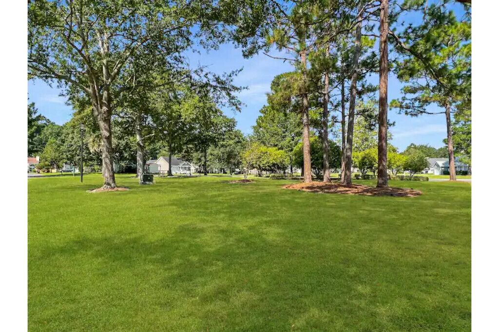 Photo of Outdoor in Summerville