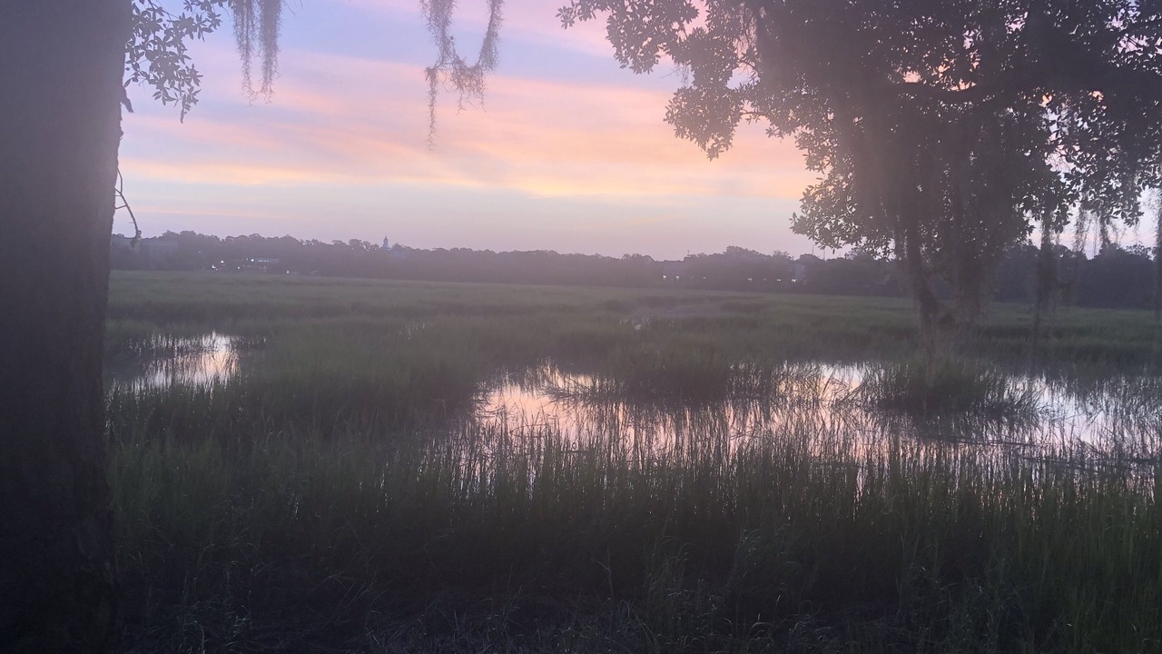 Photo of Others in Beaufort