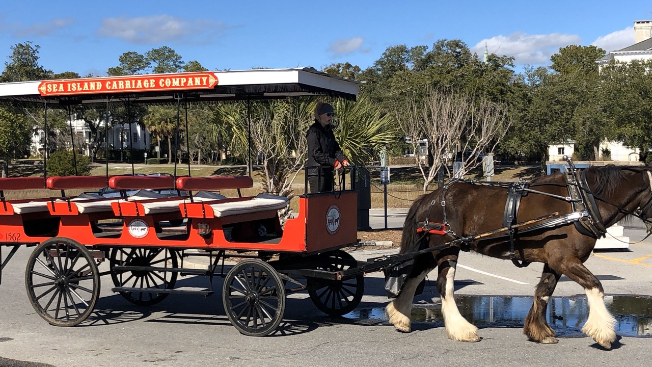 Photo of Others in Beaufort