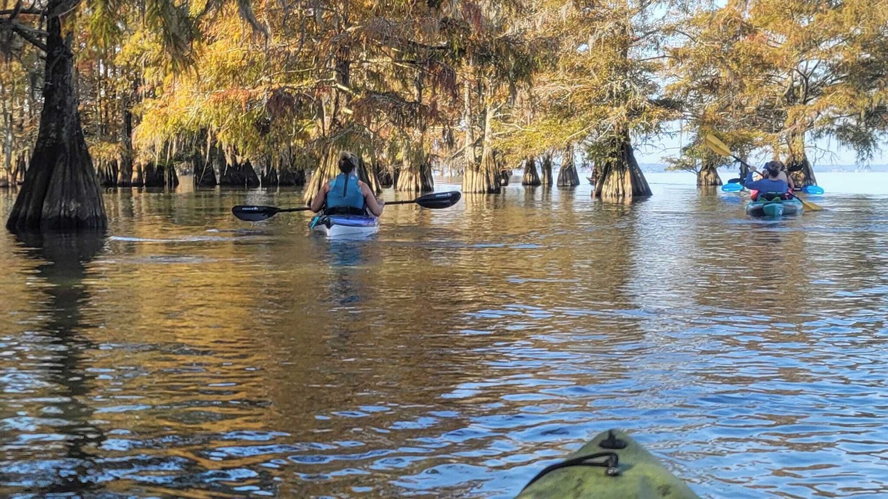 Photo of Others in Eutawville