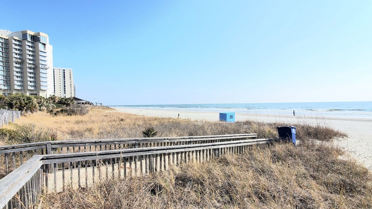 Photo of Others in Arcadian Shores
