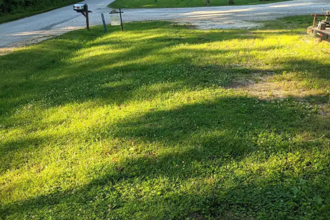 Photo of Outdoor in Gladstone