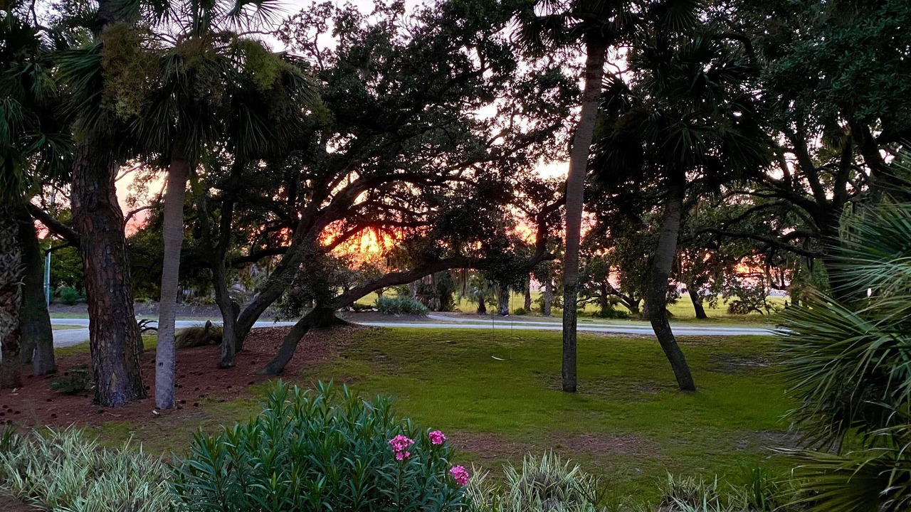 Photo of Outdoor in Saint Helena Island