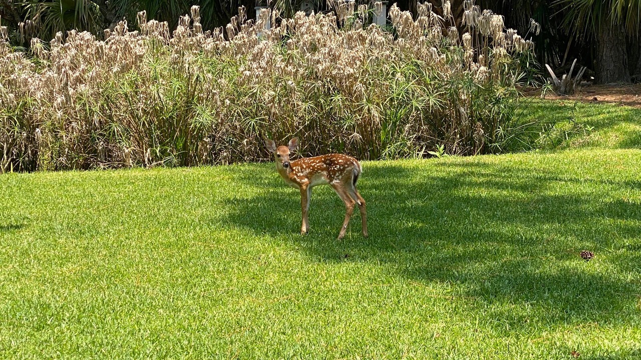 Photo of Outdoor in Saint Helena Island