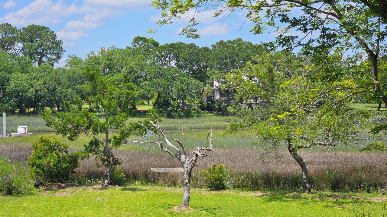 Photo of Outdoor in Johns Island