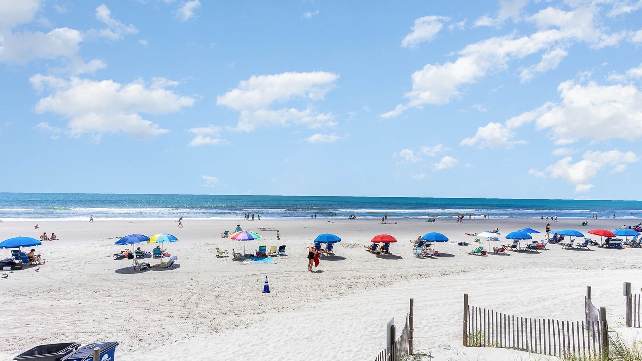 Photo of Others in Arcadian Shores