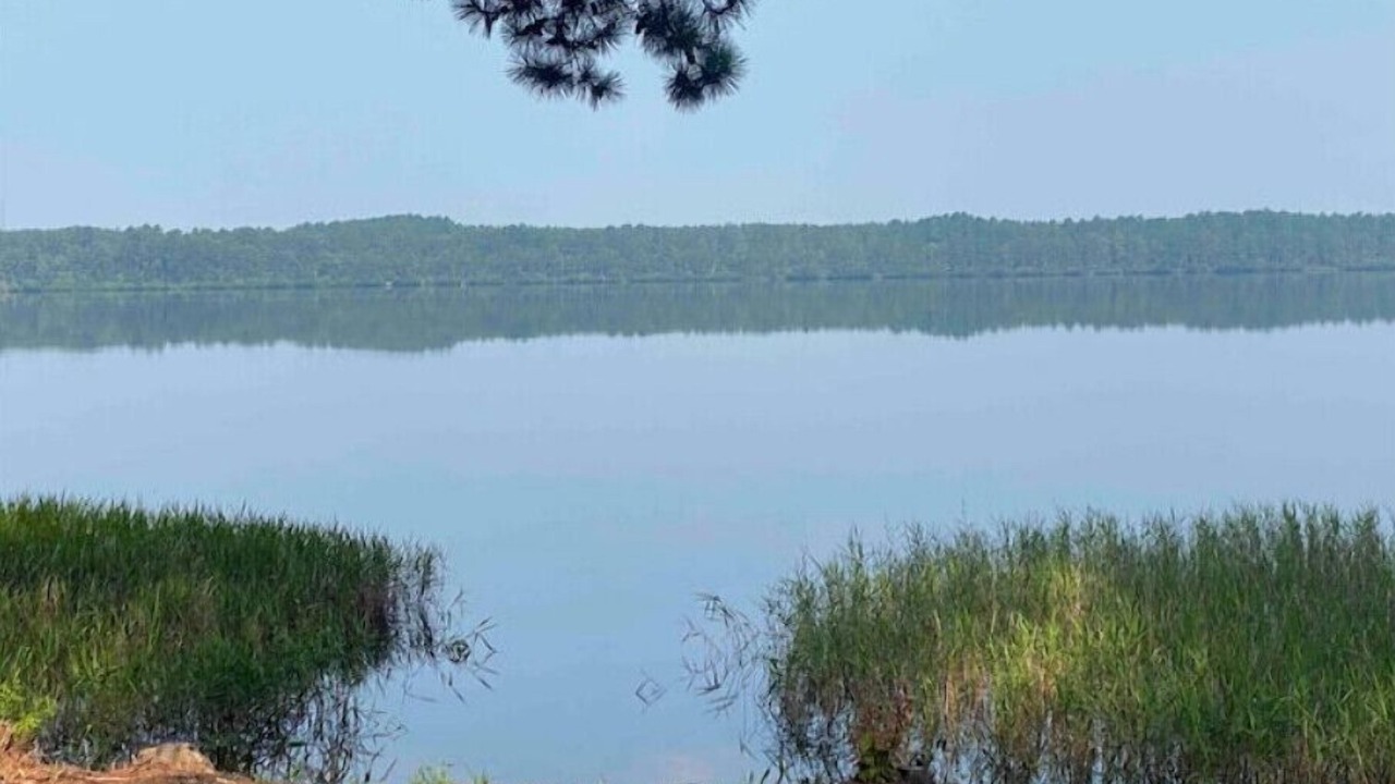 Photo of Others in Hartsville