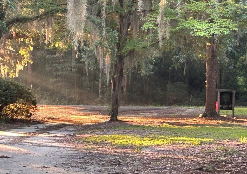 Photo of Outdoor in Eutawville