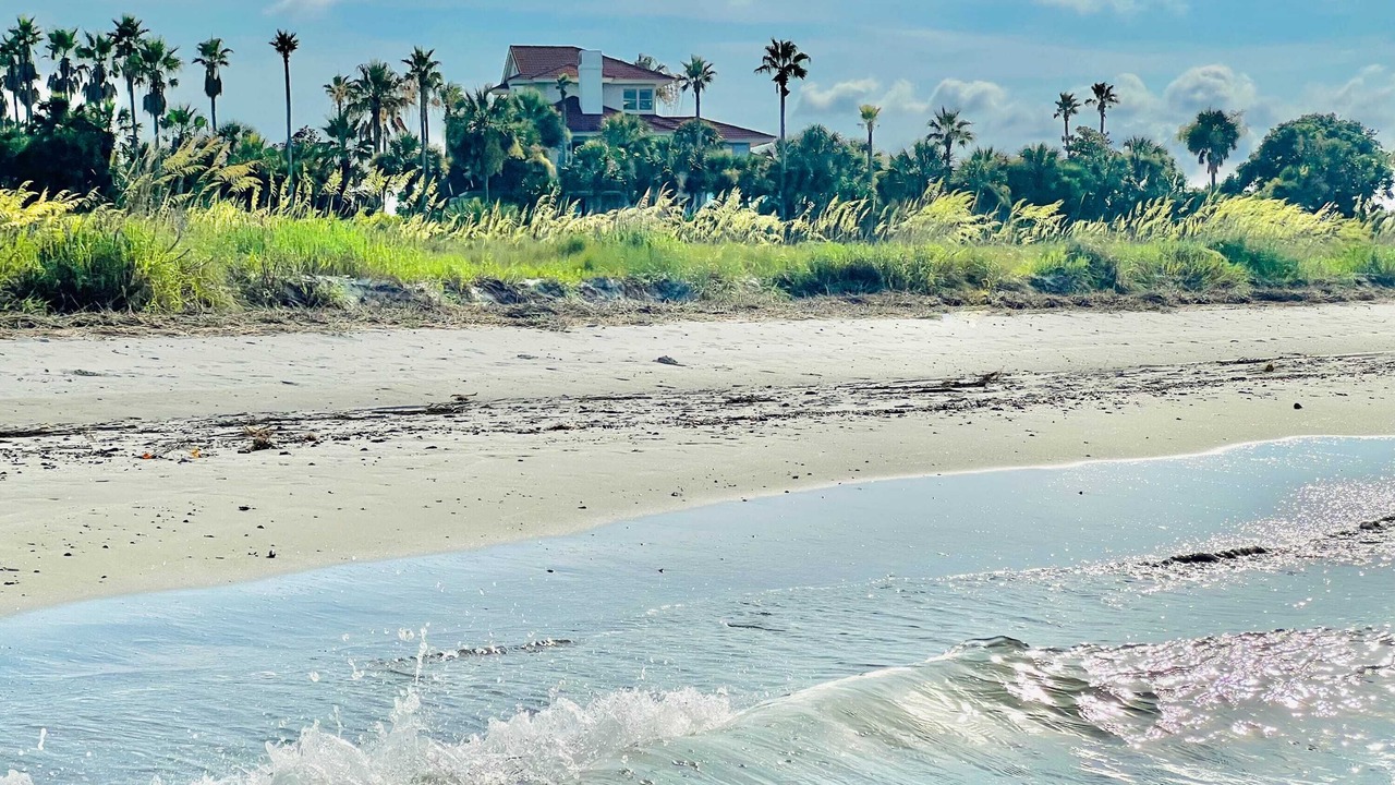 Photo of Others in Ocean Point