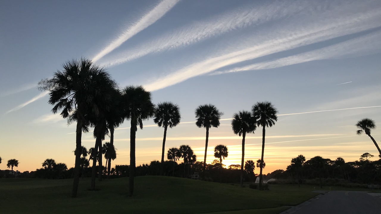 Photo of Others in Saint Helena Island