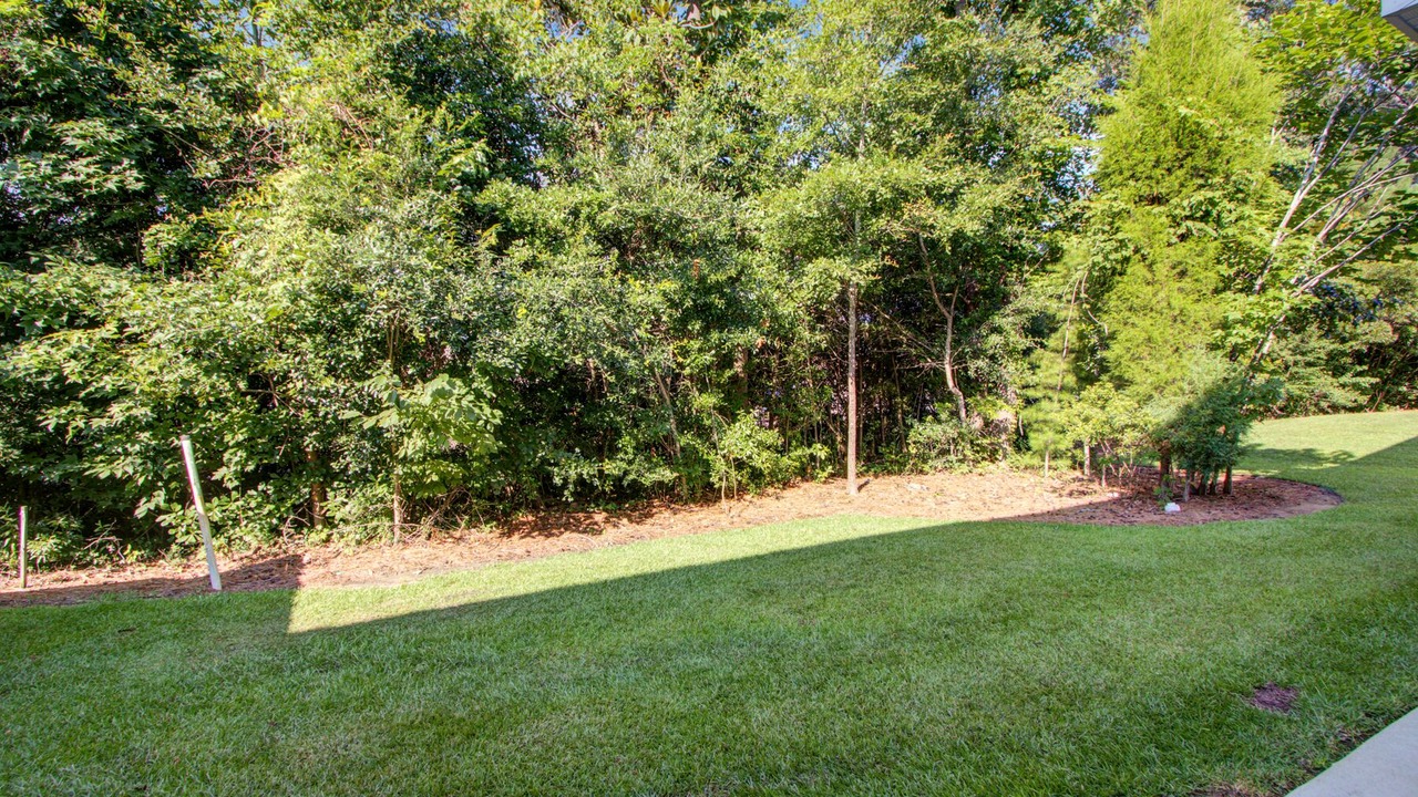 Photo of Outdoor in Ladson
