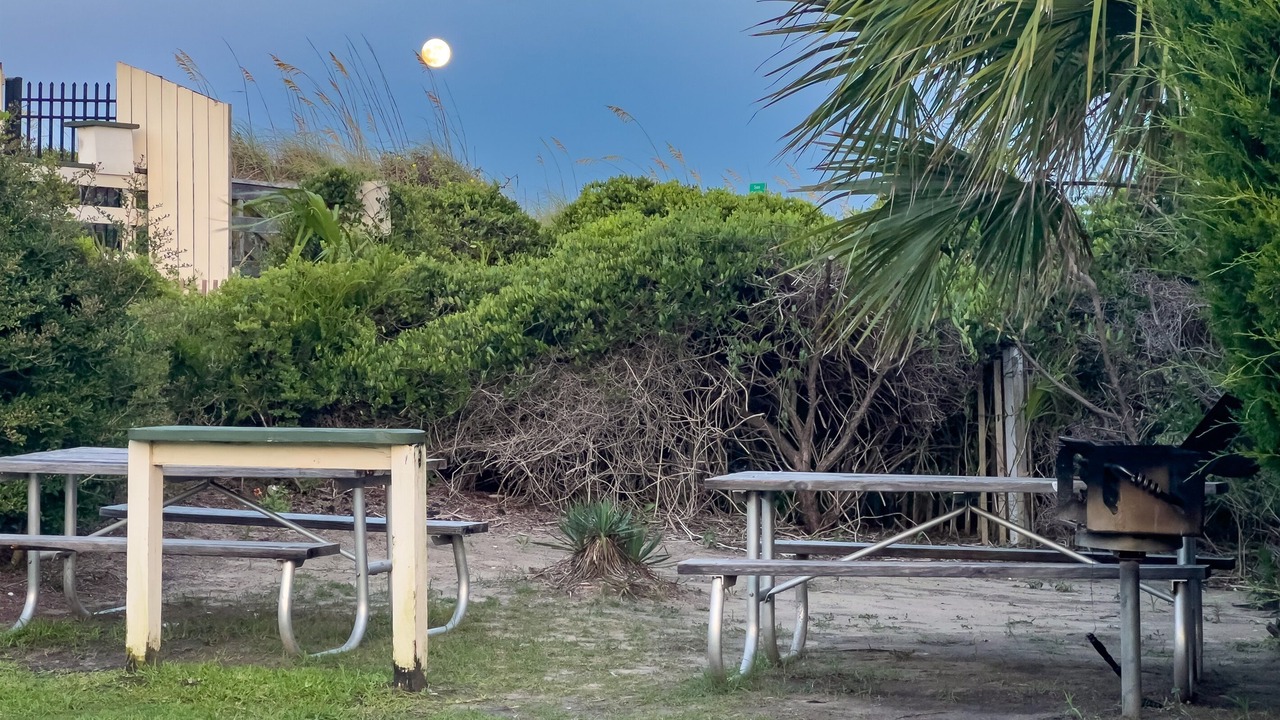 Photo of Others in Isle of Palms