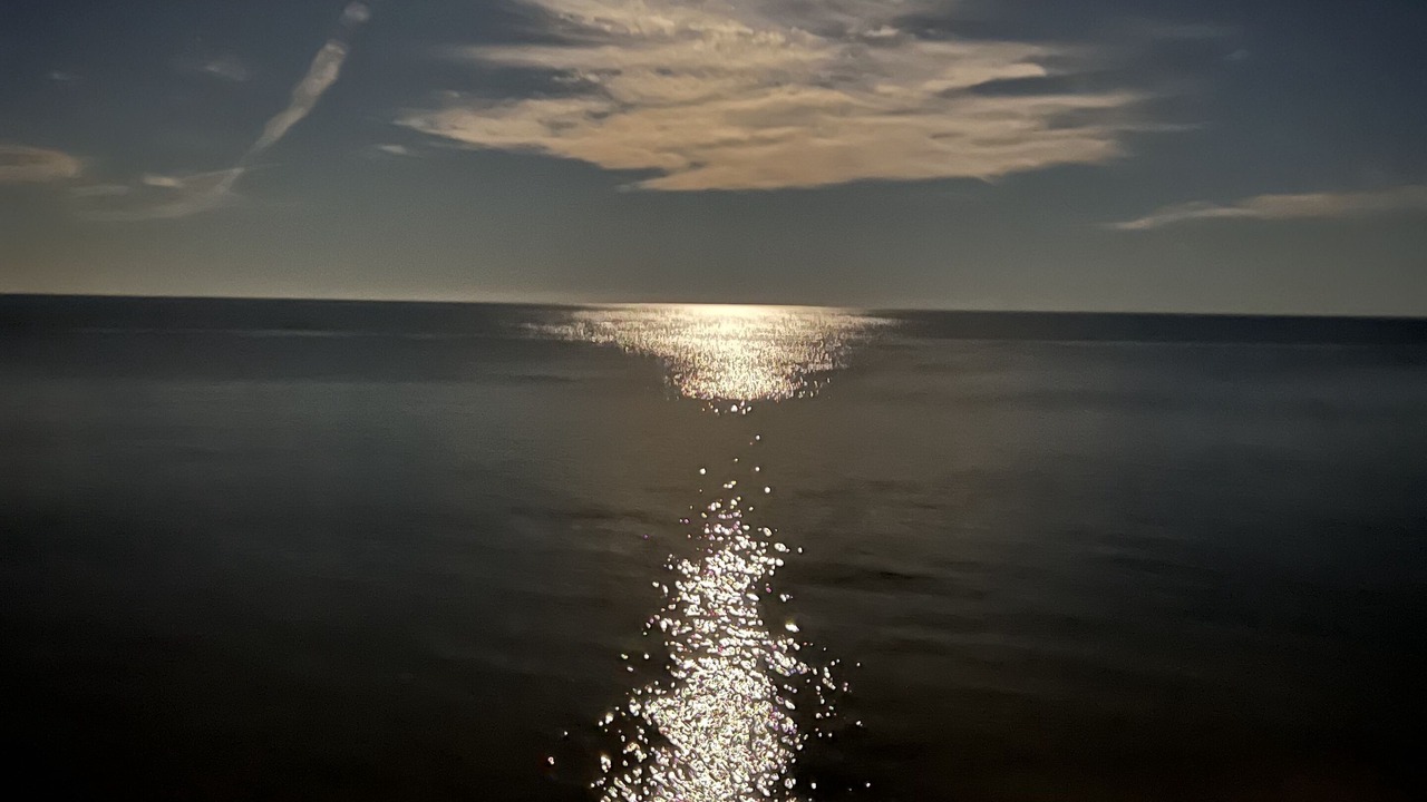 Photo of Others in Saint Helena Island