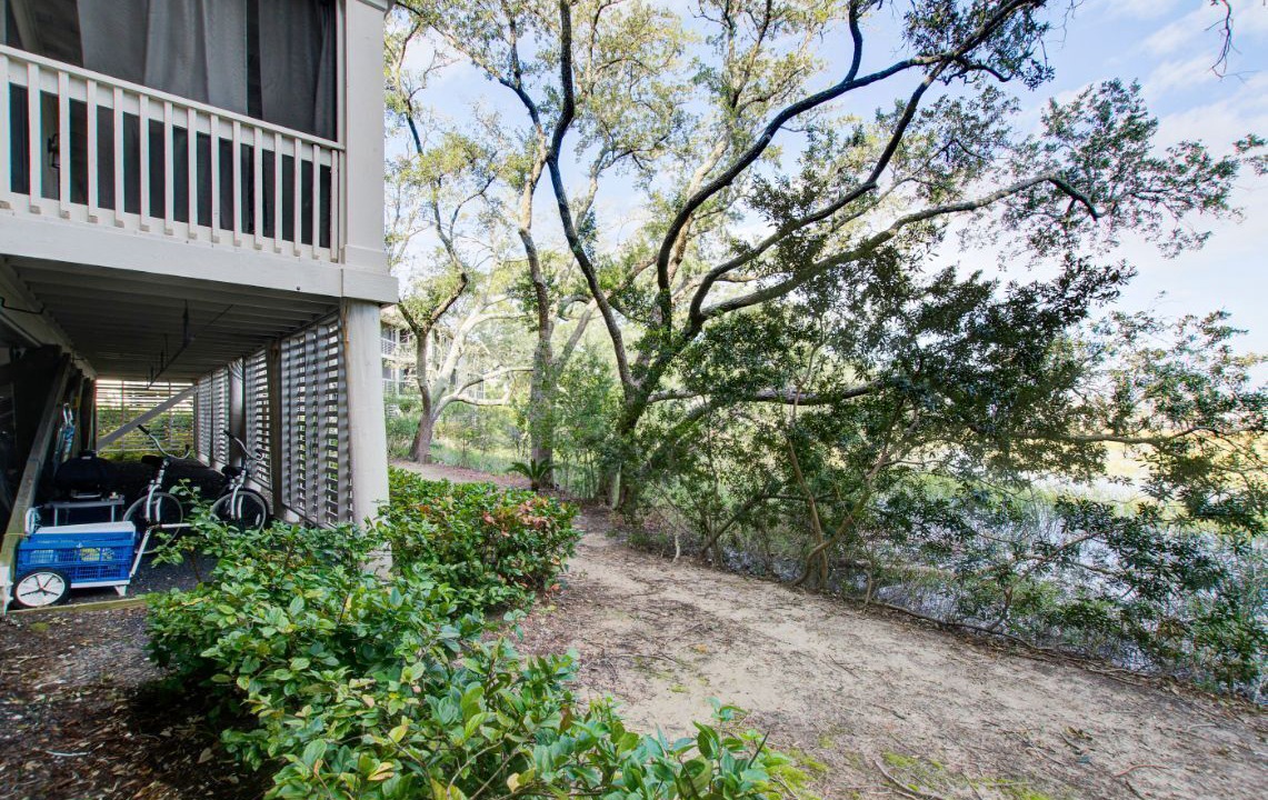 Photo of Outdoor in Seabrook Island