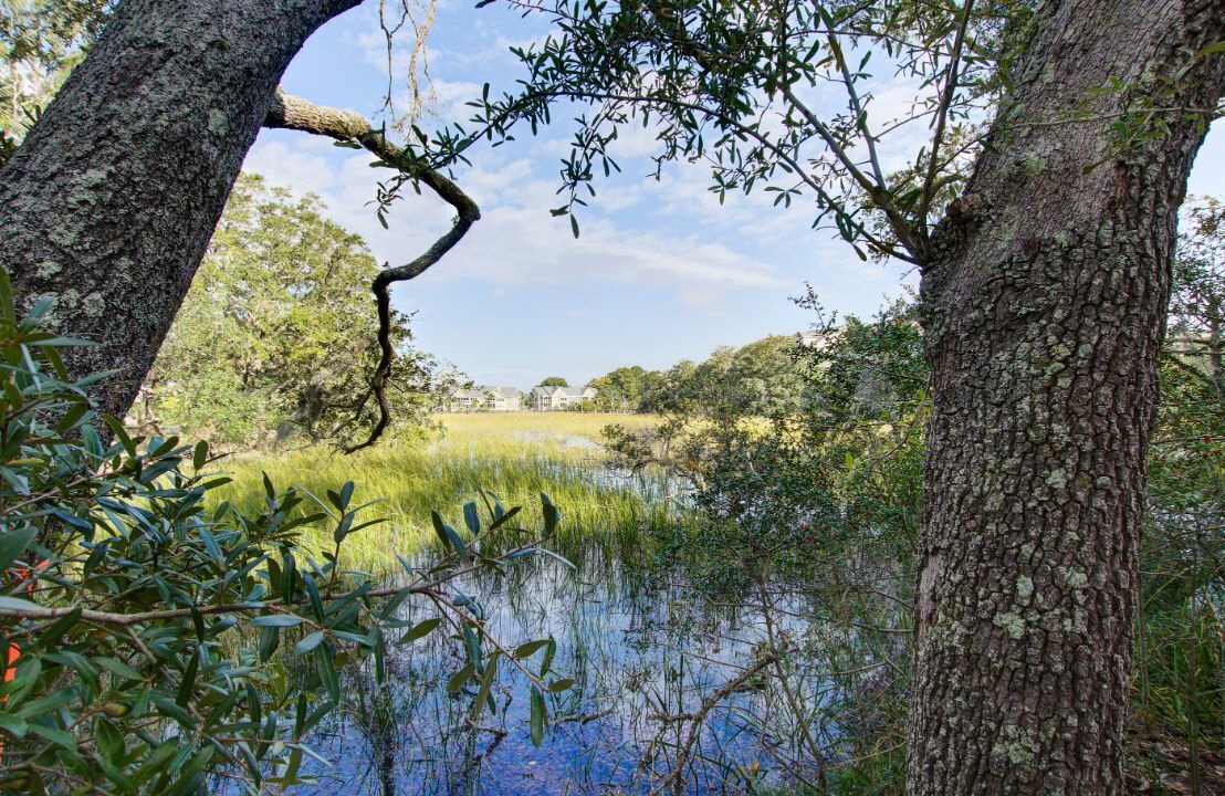 Photo of Others in Seabrook Island