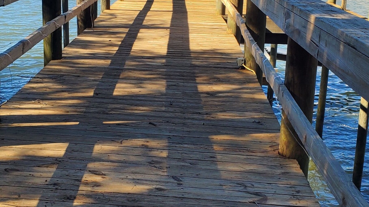 Photo of Outdoor in Steele Creek