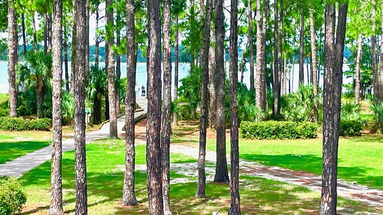 Photo of Others in South Beach