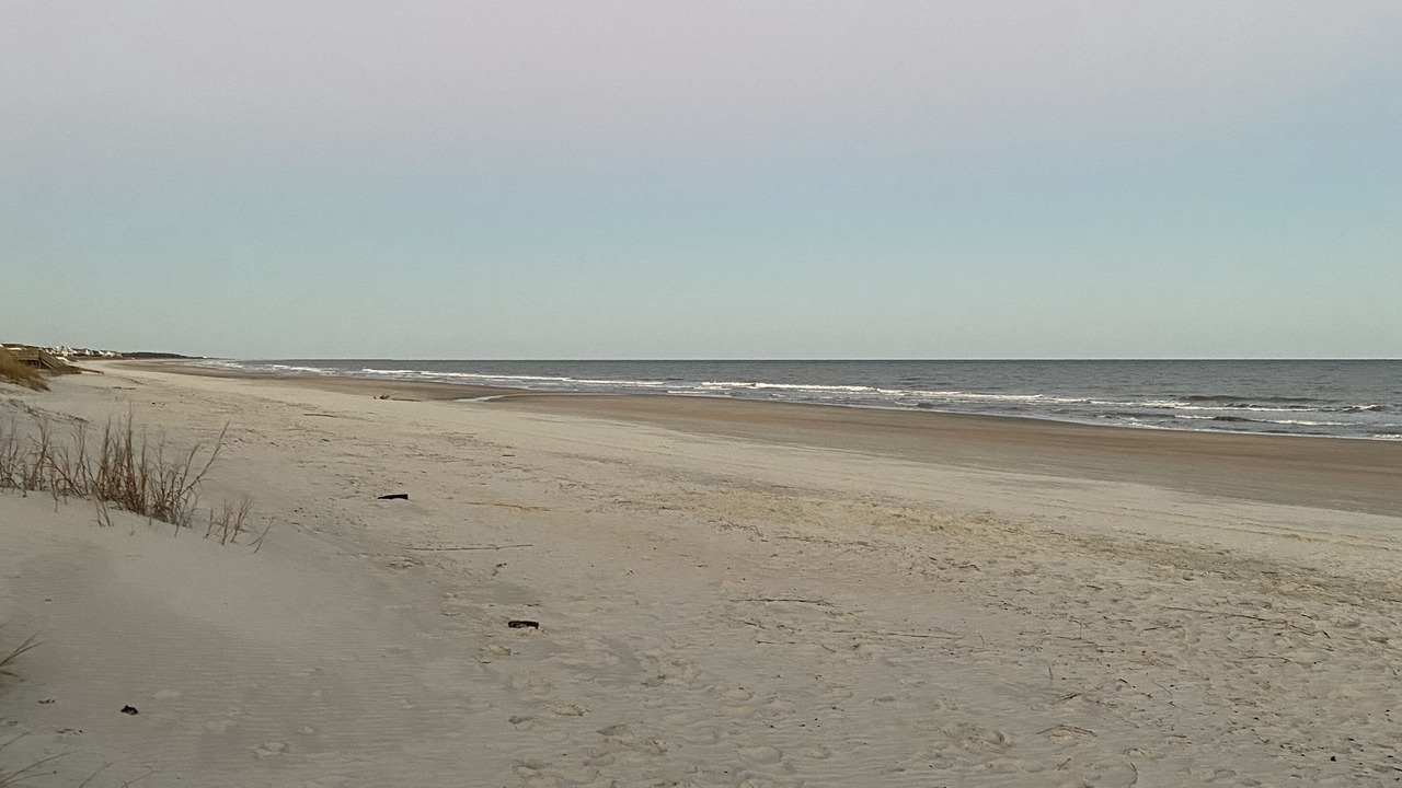 Photo of Others in North Litchfield Beach
