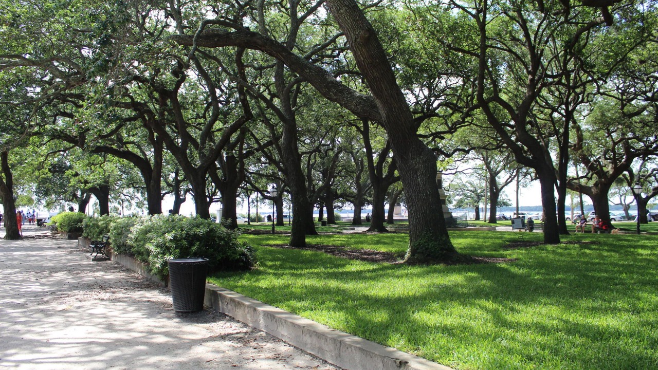 Photo of Outdoor in South of Broad