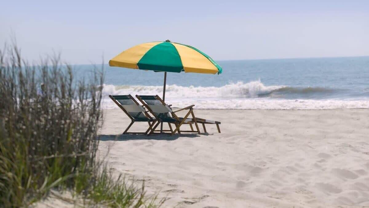 Photo of Others in Arcadian Shores