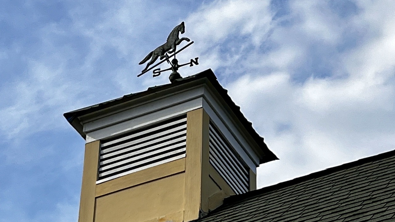 Photo of Outdoor in Aiken