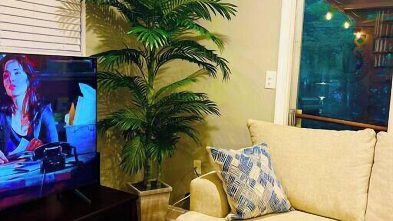 Photo of Livingroom in Mint Hill