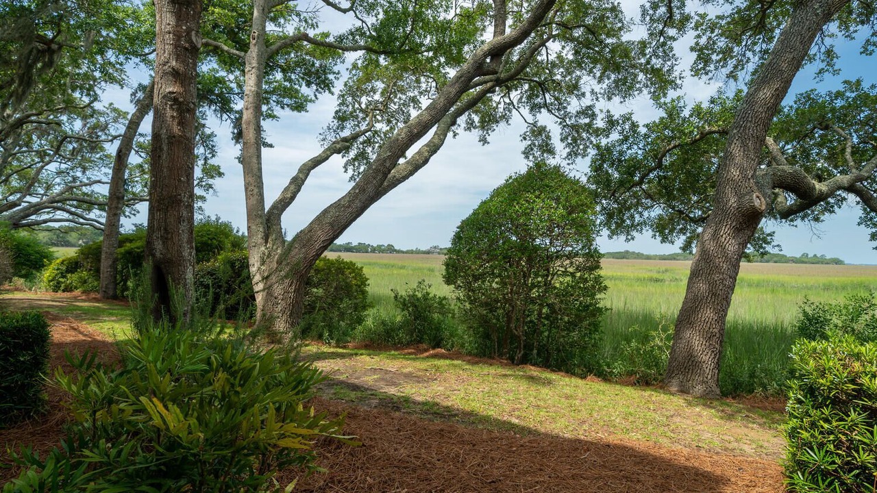 Photo of Others in Seabrook Island