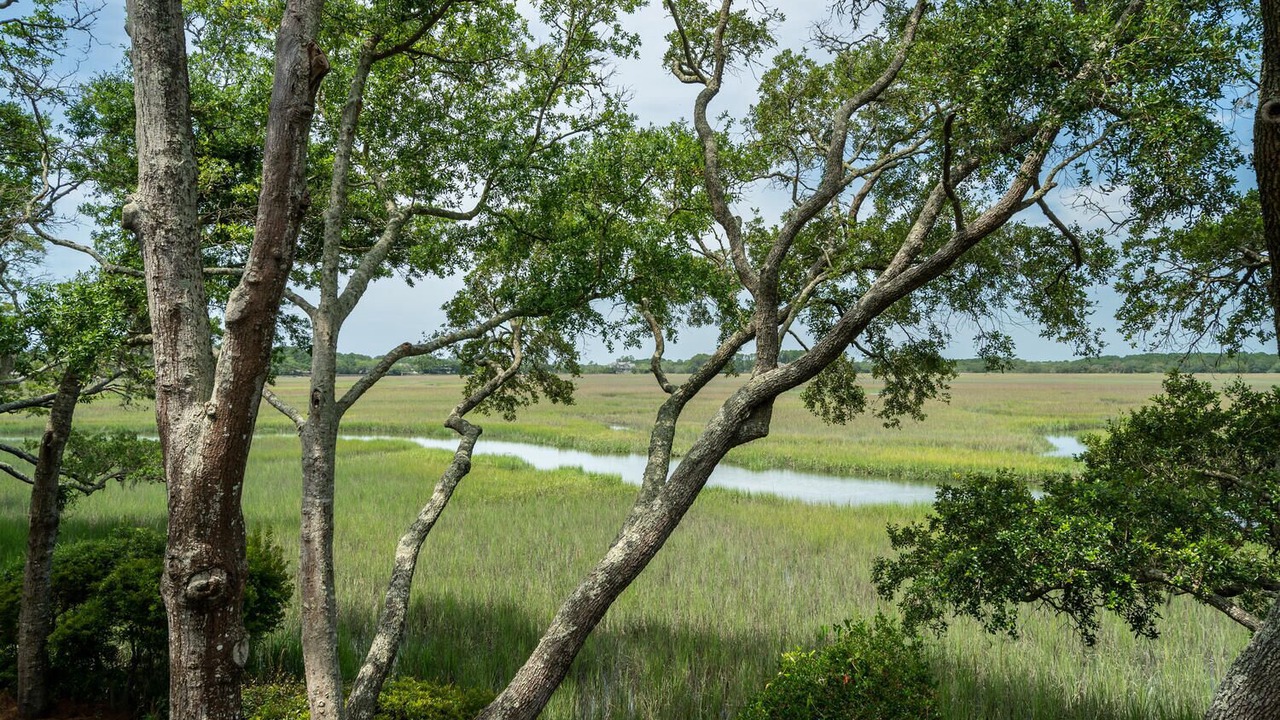 Photo of Others in Seabrook Island