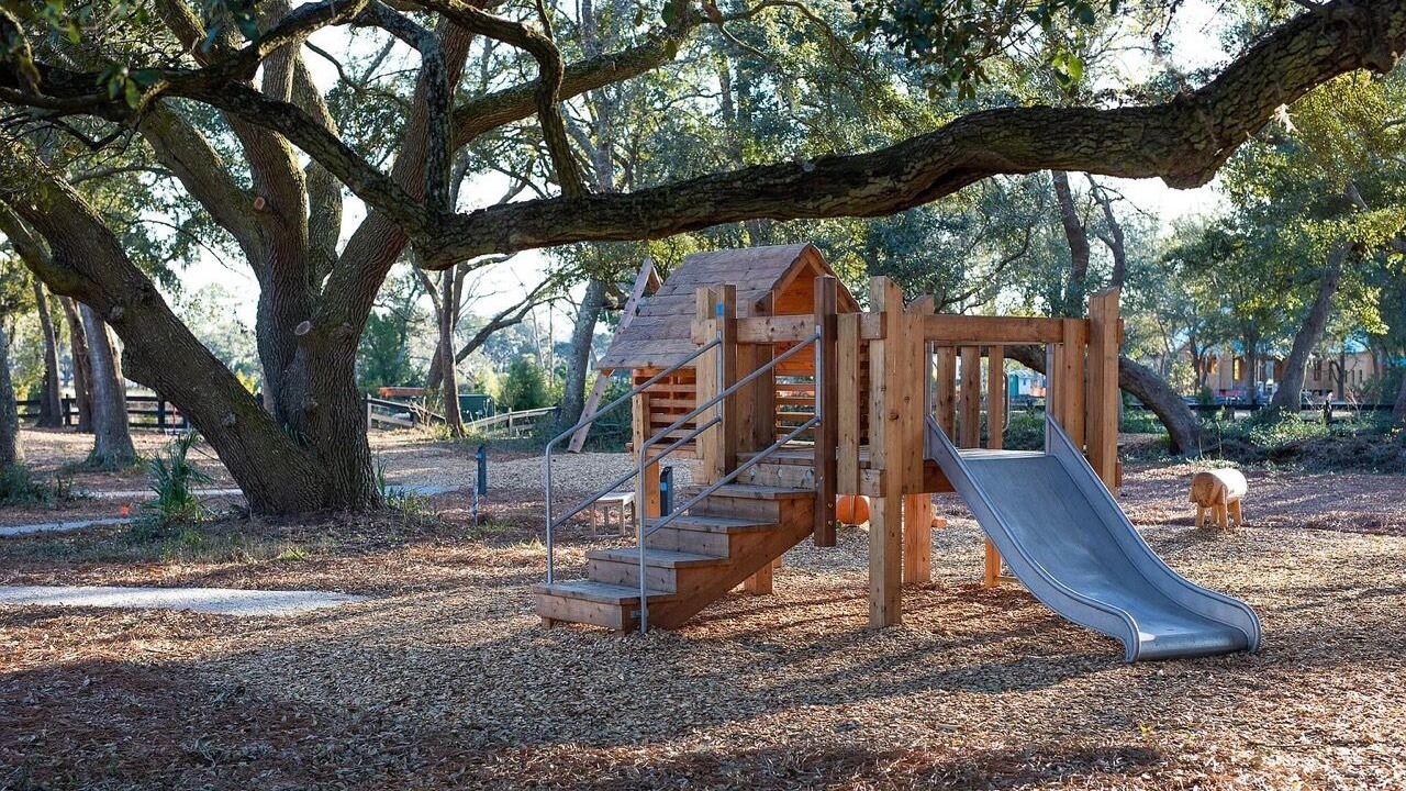 Photo of Others in Johns Island