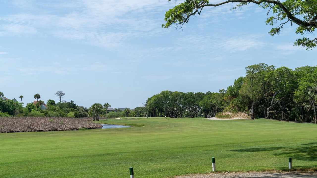 Photo of Others in Tarpon Pond